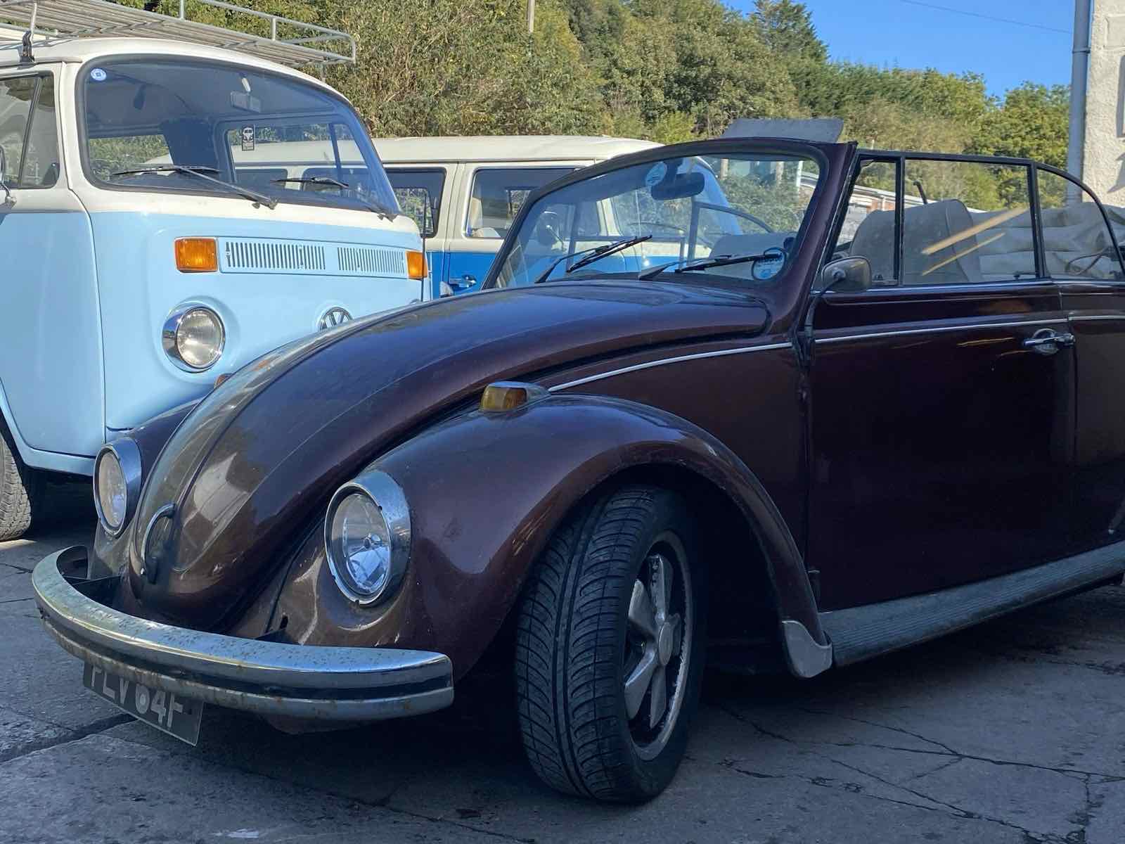 A maroon Beetle cabriolet in front of two VW campers in the yard